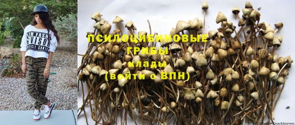 прущая мука Карпинск