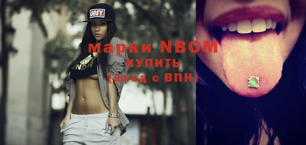 ГАЛЛЮЦИНОГЕННЫЕ ГРИБЫ Гусь-Хрустальный