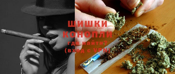 ГАЛЛЮЦИНОГЕННЫЕ ГРИБЫ Касимов