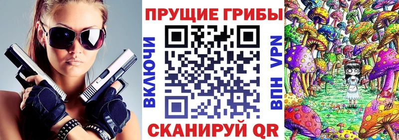 наркотики  Могоча  Псилоцибиновые грибы ЛСД 